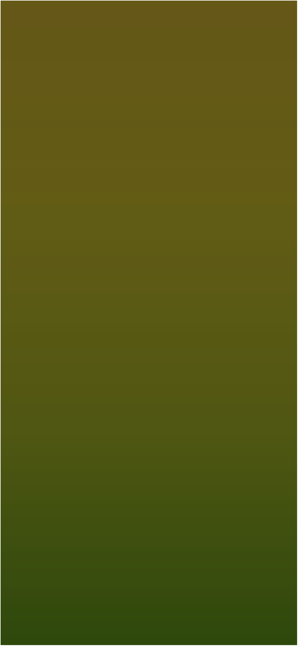 Text Box: 