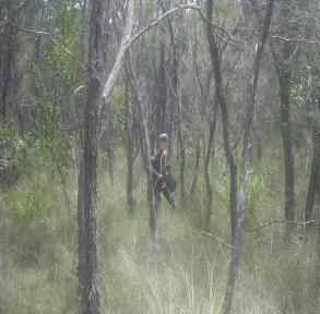 Action Park Bush